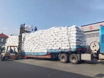 把握機(jī)遇、鉚足干勁、承勢(shì)而上